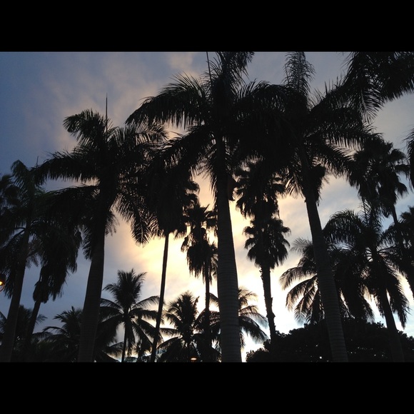 Meet your Posher, Vanessa - Picture 10 of 11